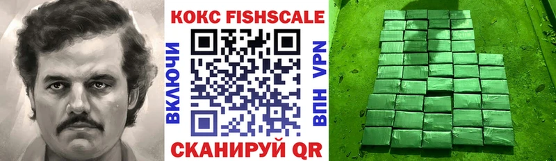 Купить  Невель  COCAIN VHQ 