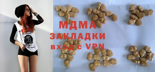 ГАЛЛЮЦИНОГЕННЫЕ ГРИБЫ Аркадак