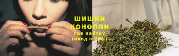 ГАЛЛЮЦИНОГЕННЫЕ ГРИБЫ Аркадак