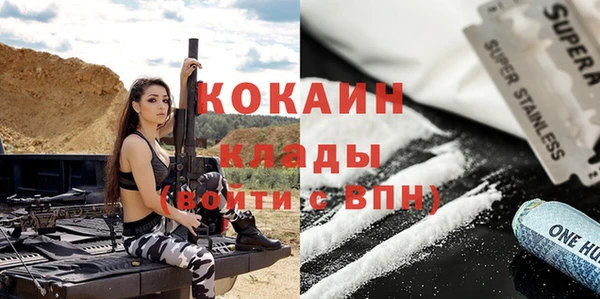 ГАЛЛЮЦИНОГЕННЫЕ ГРИБЫ Аркадак