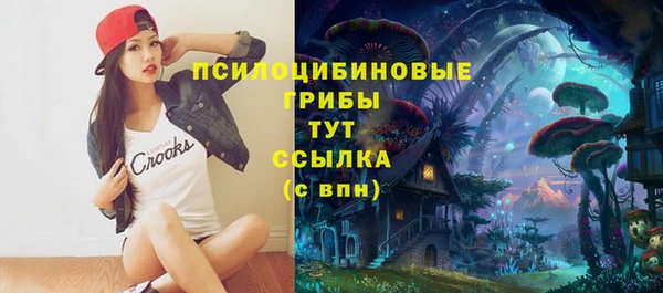 ГАЛЛЮЦИНОГЕННЫЕ ГРИБЫ Аркадак