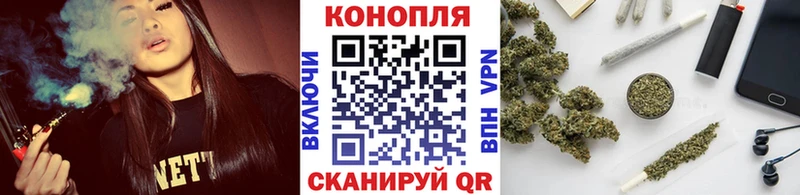 Купить закладки  Невель  МАРИХУАНА SATIVA & INDICA 